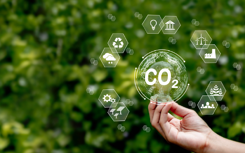 持続可能な社会・経済への貢献